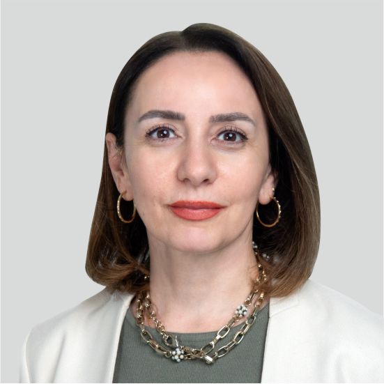 Dr. Vafa Kazdal Speaker at Global Education Summit Baku